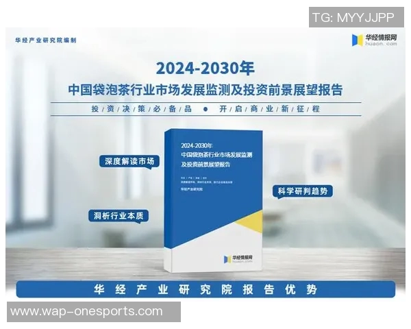 实时新闻南京飞盘队实力分析与发展潜力的深度探讨与展望